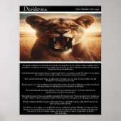 Desiderata: de ongetemde geest poster (Voorkant)