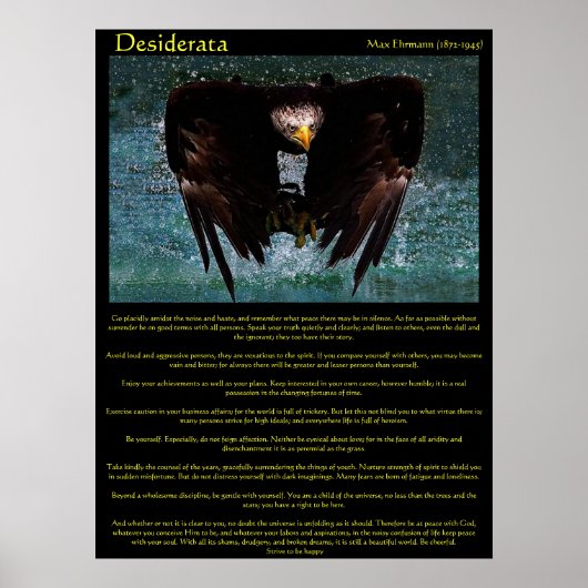 Desiderata Eagle Over Water Posters (Voorkant)