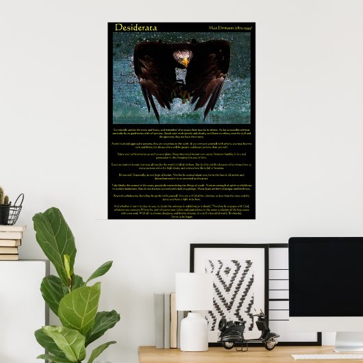 Desiderata Eagle Over Water Posters (Thuiskantoor)
