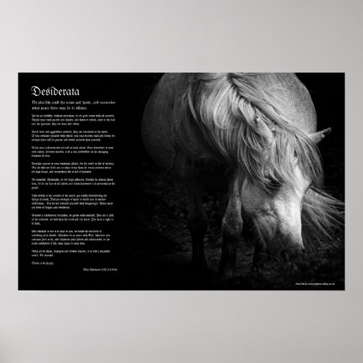 Desiderata - Fine Art Pony Head en Mane Poster (Voorkant)