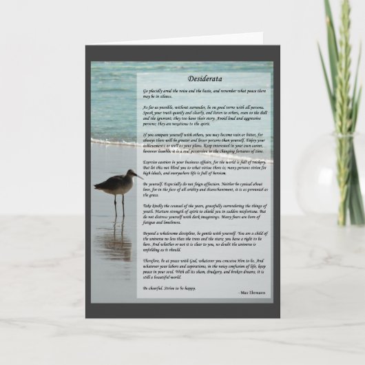 Desiderata Gedicht - Zeemeeuw op het strand scène Kaart (Voorkant)