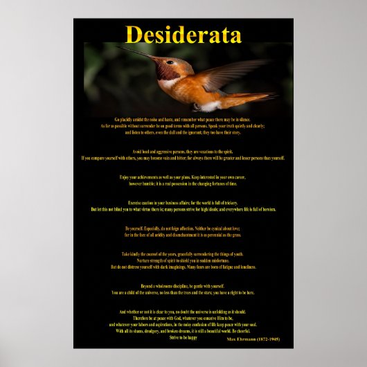 Desiderata Hummingbird Posters 1a (Voorkant)