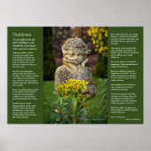 Desiderata - Jongen met Spring Posy, tuinbeeld Poster (Voorkant)