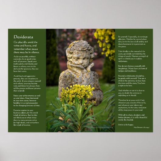 Desiderata - Jongen met Spring Posy, tuinbeeld Poster (Voorkant)