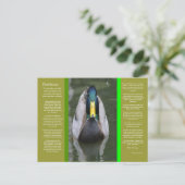 DESIDERATA Looking Duck Briefkaart (Staand voorkant)