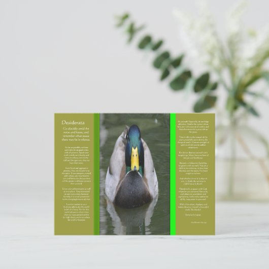 DESIDERATA Looking Duck Briefkaart (Staand voorkant)