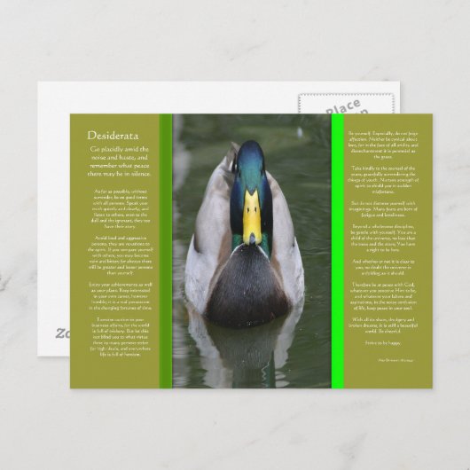 DESIDERATA Looking Duck Briefkaart (Voorkant / Achterkant)