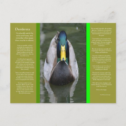 DESIDERATA Looking Duck Briefkaart (Voorkant)