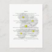 Desiderata met madeliefjes briefkaart (Voorkant)