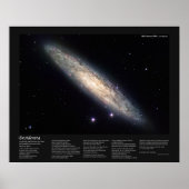 Desiderata op Spiral Galaxy NGC 253 Poster (Voorkant)