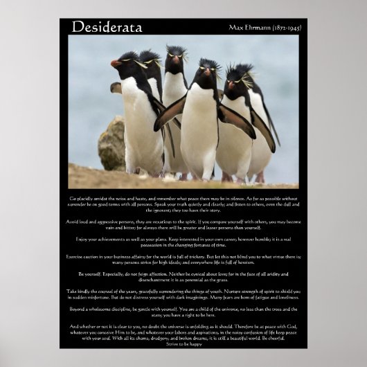 Desiderata Penguins Walkende Posters (Voorkant)