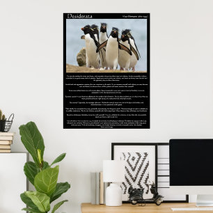 Desiderata Penguins Walkende Posters
