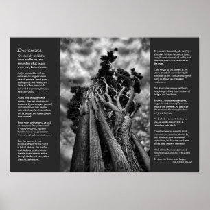 Desiderata Poem - De hemel aandoen Poster