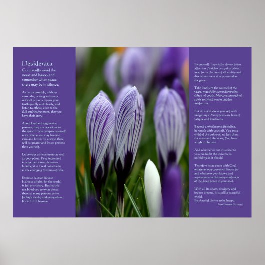 Desiderata Poem - Variegated Spring Crocuses Poster (Voorkant)
