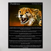 Desiderata Posters 13 (Voorkant)