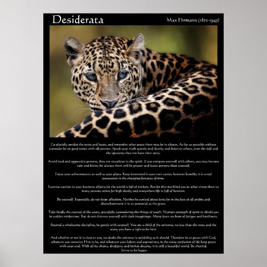 Desiderata Posters 8 (Voorkant)