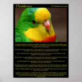 Desiderata Rainbow Canarische Posters (Voorkant)