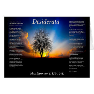 Desiderata silhouette van een wilde boom