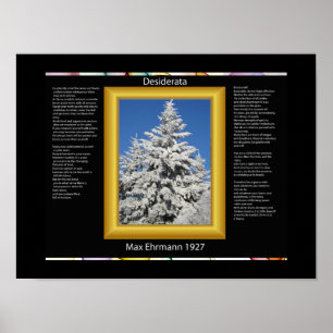 DESIDERATA-structuur in witte sneeuwPosters Poster