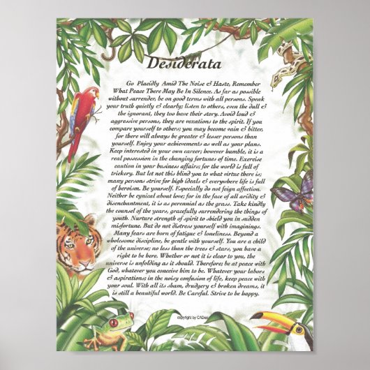 DESIDERATA Tropisch regenwoud Poster (Voorkant)