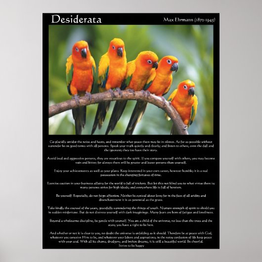 Desiderata vijf oranje en groene kanarie poster (Voorkant)