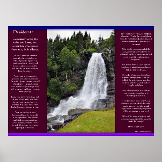 DESIDERATA Waterval Posters 13 (Voorkant)