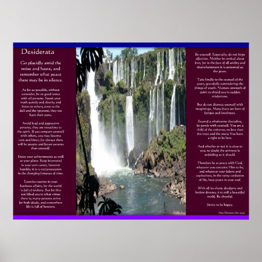 DESIDERATA Waterval Posters 3 (Voorkant)