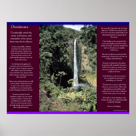 DESIDERATA Waterval Posters 6 (Voorkant)