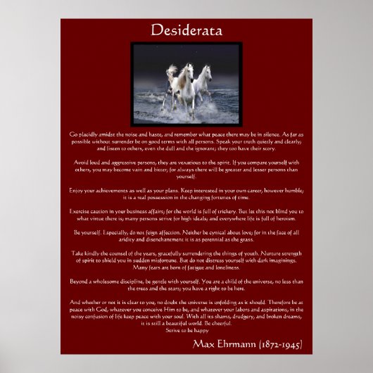 Desiderata white arabian cheval Posters (Devant)