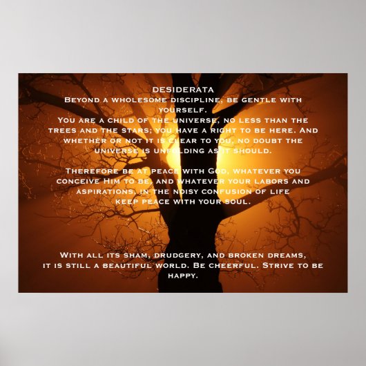 DESIDERATA Willow Tree-Posters Poster (Voorkant)