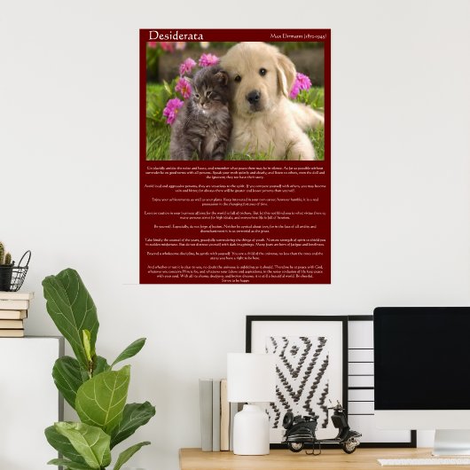 Desiderata Young Love Fight Posters (Thuiskantoor)