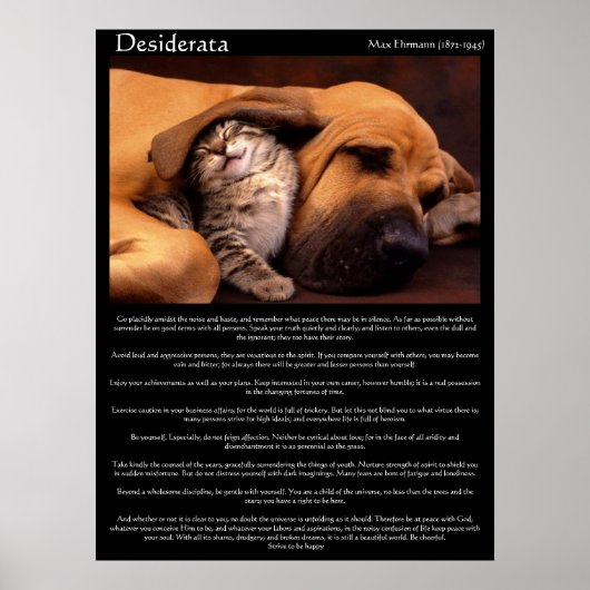 Desiderata Young Love Posters 2 (Devant)