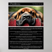 Desiderata: Zon en sereniteit Poster (Voorkant)