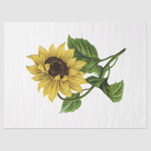 Design 66 van de koningin Bee-reeks Tissuepapier