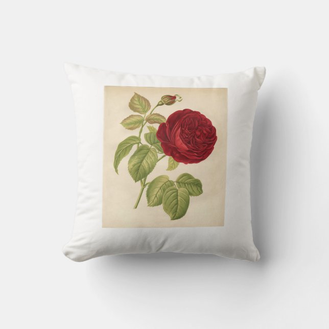 Design coussin doux avec rose magnifique (Recto)