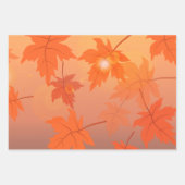 Design d'automne avec feuilles d'érable et effet b (Devant 3)