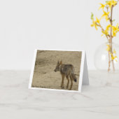 Design de carte 3 de note de photographie de faune (Fleur jaune)