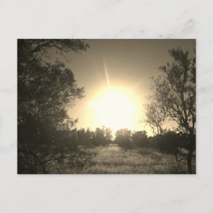 DESIGN DE STYLE ECO SUNSHINE Carte postale
