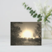 DESIGN DE STYLE ECO SUNSHINE Carte postale (Debout devant)
