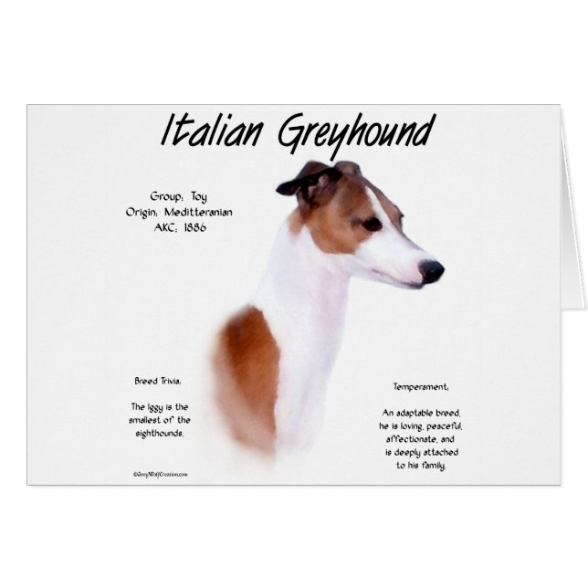 Design d'histoire Greyhound italien (Devant horizontal)
