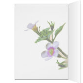 Design Floral Sur Rose (Intérieur (Gauche))