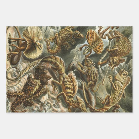 Design van Ernst Haeckel Inpakpapier Vel (Voorkant 2)