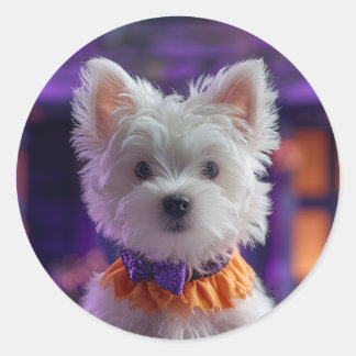 Design your own Custom Photo Stickers