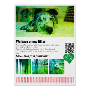 Designer Dog Great Dane Puppy Poster Perfect Poster