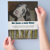 Designer Puppy Verkoopflyer Flyer (Hand)