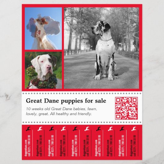 Designer Tear off Great Dane Flyer (Voorkant)