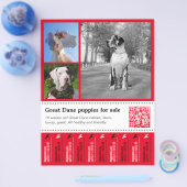 Designer Tear off Grote Dane Flyer (Enkel)