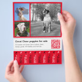 Designer Tear off Grote Dane Flyer (Hand)