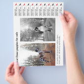 Designer Tear off Grote Dane Flyer (Hand)