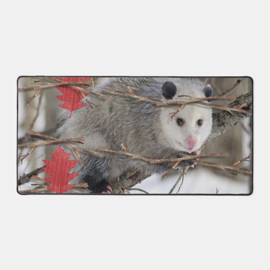 Desk Mat Opossum Nature Faune (Recto)